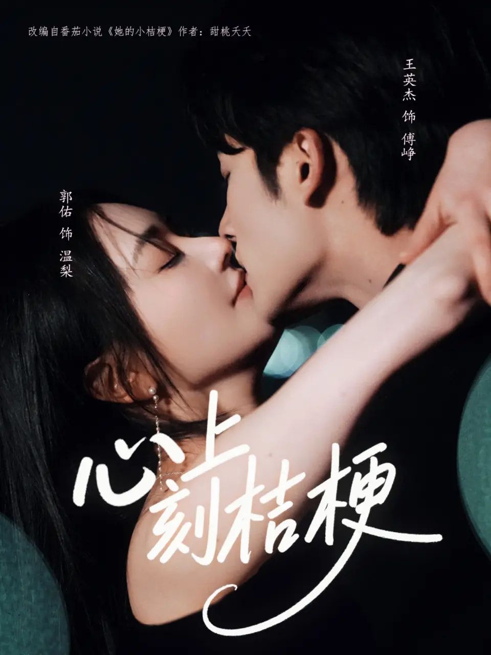 心上刻桔梗90集王英杰&郭佑主演 全集完整版免费在线观看 未删减 百度网盘夸克网盘资源分享下载 第1张 心上刻桔梗90集王英杰&郭佑主演 全集完整版免费在线观看 未删减 百度网盘夸克网盘资源分享下载 第1张