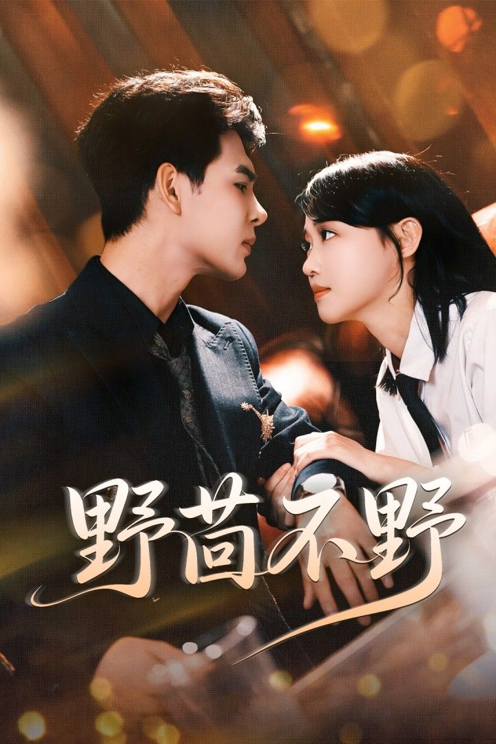 热门短剧野茴不野靳旺龚芳妮主演67集全集未删减超清,免费在线观看,百度夸克网盘资源下载 第1张 热门短剧野茴不野靳旺龚芳妮主演67集全集未删减超清,免费在线观看,百度夸克网盘资源下载 第1张