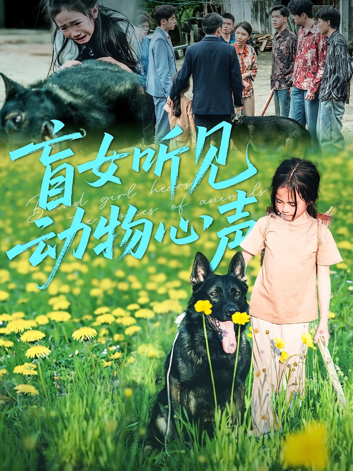 热门短剧盲女听见动物心声61集全集完整版免费在线观看未删减版,百度网盘夸克网盘免费资源下载 第1张 热门短剧盲女听见动物心声61集全集完整版免费在线观看未删减版,百度网盘夸克网盘免费资源下载 第1张