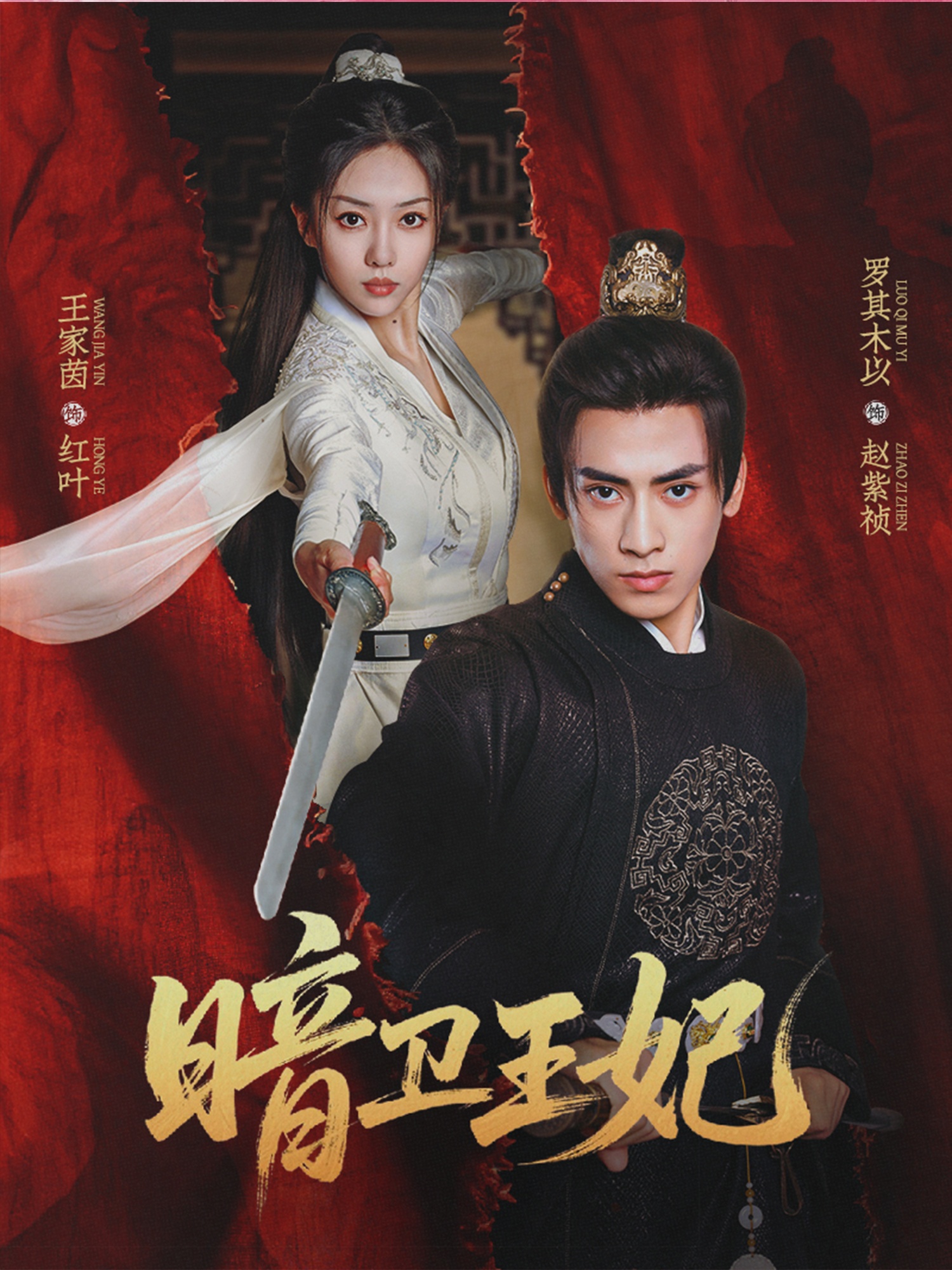 暗卫王妃高清短剧全集在线免费观看 完整版无障碍播放