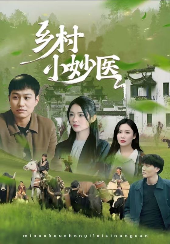 乡村小妙医（60集）全集完整版免费在线观看未删减，百度网盘夸克网盘免费资源速存下载  第1张