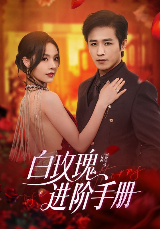 白玫瑰进阶手册64集全集古铭瀚赵西主演免费无需注册在线观看未删减版 百度网盘夸克网盘资源下载