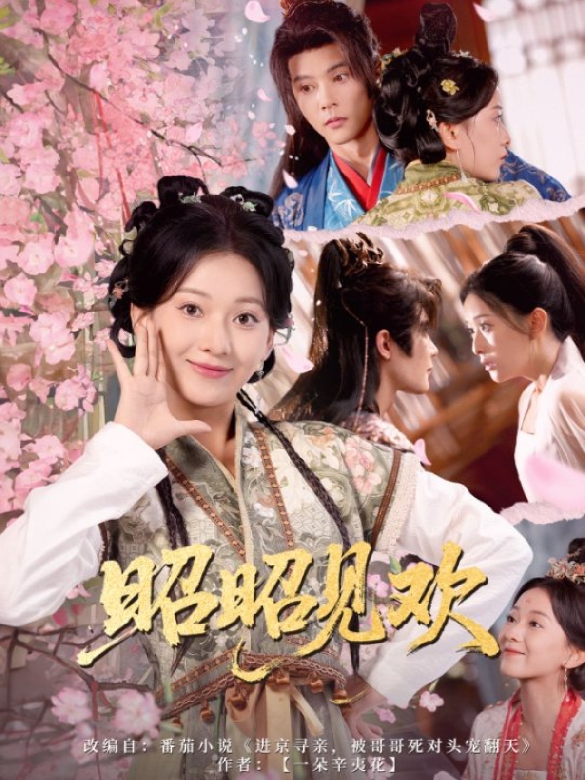 热门短剧昭昭见欢蔺瑞雪李俊辰66集全集完整版超清免费在线观看未删减版，百度网盘夸克网盘免费资源分享下载  第1张