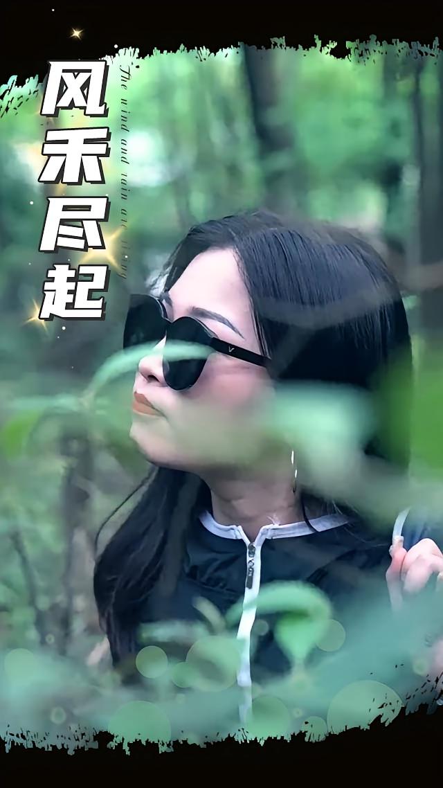 热门短剧风禾尽起31集全集未删减版免费在线观看无广告，百度网盘夸克网盘免费资源下载分享  第1张