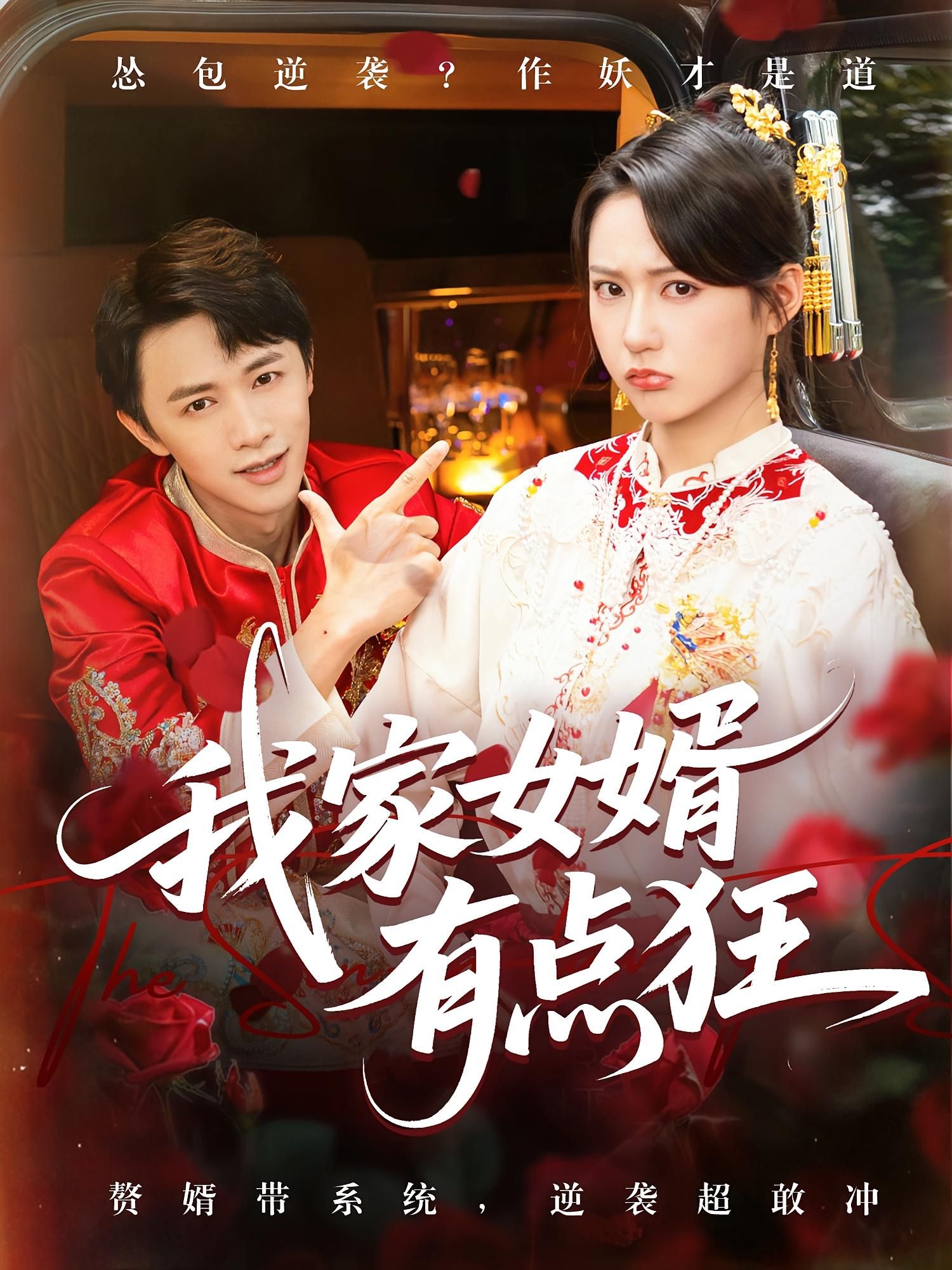 我家女婿有点狂80集全集免费在线观看未删减版 王悦洋&陈外主演 百度网盘夸克网盘资源秒存下载  第1张