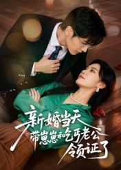 热门短剧新婚当天带崽崽和乞丐老公领证了60集朱予彤主演 全集完整版未删减免费播放 在线观看 百度网盘夸克网盘资源分享下载  第1张