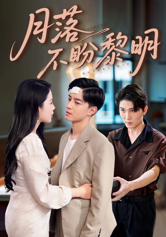 热门短剧月落不盼黎明64集丁海霞贺龙天 全集完整版免费在线观看 未删减版 百度网盘夸克网盘资源分享下载  第1张