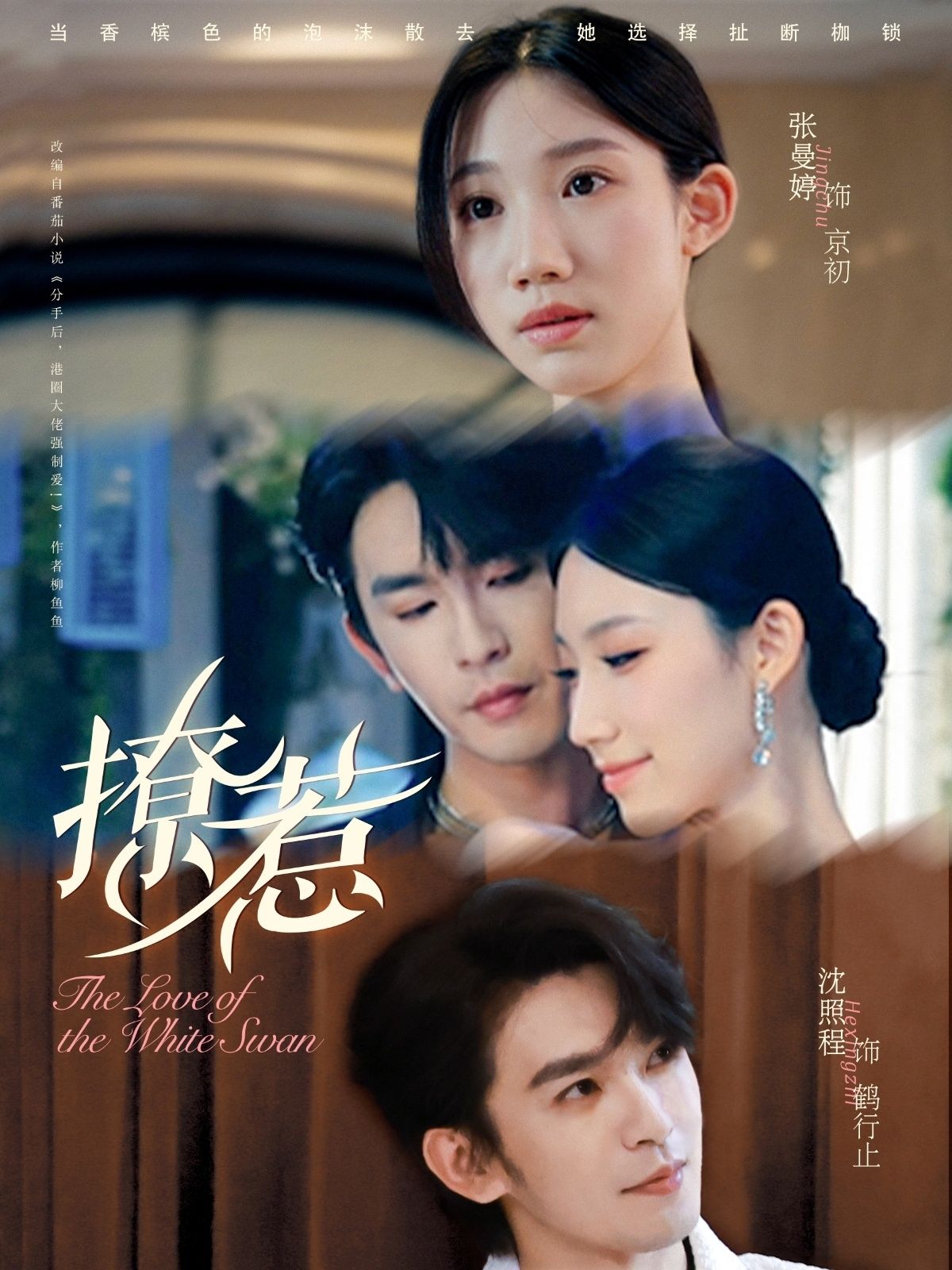 热门短剧撩惹80集张曼婷沈照程全集完整版免费无卡顿在线观看未删减版百度夸克网盘资源分享下载  第1张