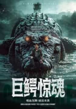 热门短剧巨鳄惊魂沈建主演全集85集实时更新,免费在线观看未删减版,百度网盘夸克网盘资源分享下载