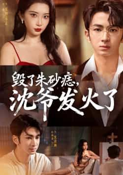 热门短剧毁了朱砂痣，沈爷发火了60集全集 叶森林张璇主演 免费在线观看未删减版 百度网盘夸克网盘秒存资源分享下载  第1张