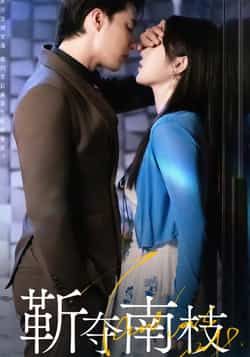 热门短剧靳夺南枝全集完整版未删减免费在线观看，百度网盘夸克网盘资源下载分享  第1张