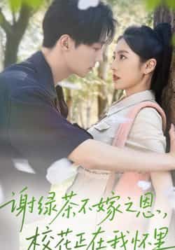 热门短剧谢绿茶不嫁之恩校花正在我怀里全集完整版免费无水印在线观看未删减，百度网盘夸克网盘资源分享下载  第1张