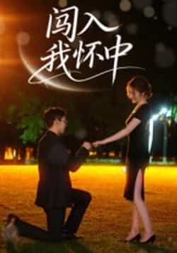 热门短剧闯入我怀中全集完整版未删减超清免费在线观看播放，百度网盘夸克网盘免费资源分享下载  第1张