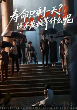 热门短剧《寿命只剩一天，还不发疯等什么呢》 全集完整版超清免费在线观看播放未删减版资源，短剧百度网盘夸克网盘免费资源分享下载  第1张