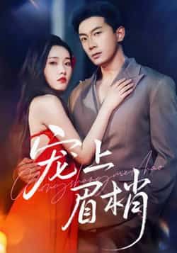 热门短剧宠上眉梢全集完整版未删减，免费在线观看播放，百度网盘夸克网盘免费资源分享下载  第1张