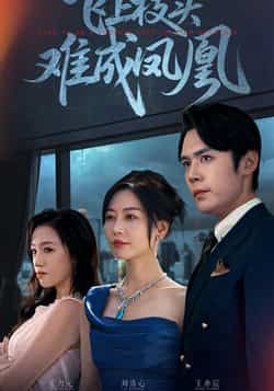 热门短剧飞上枝头难成凤凰全集完整版免费在线观看未删减版,百度网盘夸克网盘资源分享下载 第1张 热门短剧飞上枝头难成凤凰全集完整版免费在线观看未删减版,百度网盘夸克网盘资源分享下载 第1张