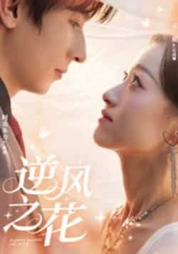 热门短剧逆风之花全集完整版免费稳定在线观看未删减版，百度网盘夸克网盘免费资源分享下载  第1张