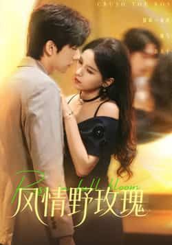 热门短剧风情野玫瑰全集完整版免费无广告在线观看未删减版,百度网盘夸克网盘免费资源分享下载 第1张 热门短剧风情野玫瑰全集完整版免费无广告在线观看未删减版,百度网盘夸克网盘免费资源分享下载 第1张