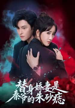 热门短剧替身娇妻是秦爷的朱砂痣全集完整版免费在线观看未删减版，百度网盘夸克网盘资源速存分享下载  第1张