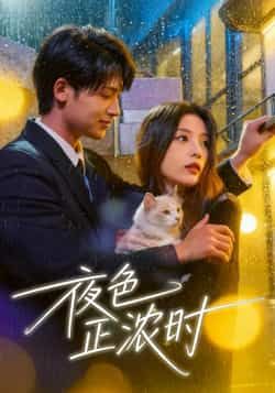 热门短剧夜色正浓时全集完整版实时更新,免费在线观看未删减版,百度网盘夸克网盘资源分享下载 第1张 热门短剧夜色正浓时全集完整版实时更新,免费在线观看未删减版,百度网盘夸克网盘资源分享下载 第1张