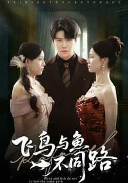 热门短剧飞鸟与鱼不同路全集完整版免费无卡顿在线观看,未删减版资源,百度网盘夸克网盘免费下载分享 第1张 热门短剧飞鸟与鱼不同路全集完整版免费无卡顿在线观看,未删减版资源,百度网盘夸克网盘免费下载分享 第1张