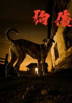 热门短剧狗债全集完整版免费在线观看未删减版，百度网盘夸克网盘免费资源分享下载  第1张