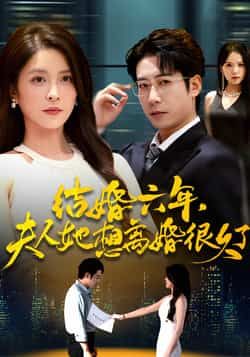 结婚六年夫人她想离婚很久了全集完整版高清未删减免费在线观看播放，百度网盘夸克网盘免费资源分享下载  第1张