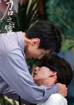 热门短剧刀口之蜜全集完整版免费在线观看未删减版,百度网盘夸克网盘资源分享下载 第1张 热门短剧刀口之蜜全集完整版免费在线观看未删减版,百度网盘夸克网盘资源分享下载 第1张