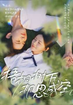 热门短剧梧桐树下相思成空全集完整版免费在线观看未删减版,百度网盘夸克网盘资源分享下载