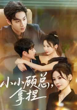 热门短剧小小顾总拿捏全集完整版免费在线观看未删减版,百度网盘夸克网盘免费资源秒存分享下载