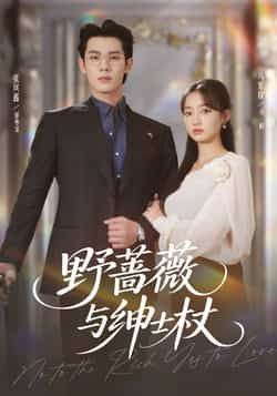 热门短剧《野蔷薇与绅士杖》 全集完整版免费无卡顿在线观看播放未删减版资源,短剧百度网盘夸克网盘免费资源分享下载